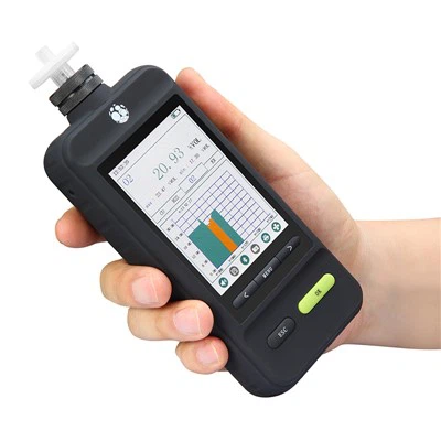 Portable Gas Detector